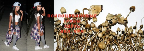 mdma Лагань