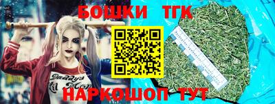 крисы Аргун