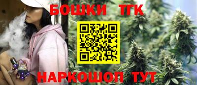 крисы Аргун