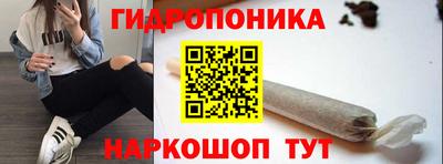 крисы Аргун