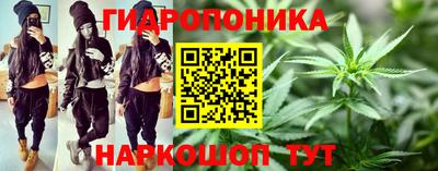 крисы Аргун